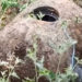 У Чорному морі біля Одеси виявили дрейфуючу корабельну міну