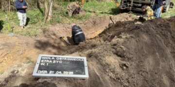 Під час ексгумаційних робіт на Волині знайшли останки 32 людей