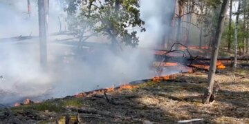 Вогонь у Чорнобилі виходить з-під контролю: дим уже заходить у Київ