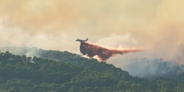 Україна відправила рятувальників приборкувати пожежі у Франції