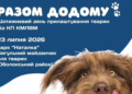 Пухнасті, веселі, активні: в Києві відбудеться день адопції тварин, – ФОТО