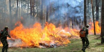 Надзвичайна пожежна небезпека: які райони Київщини опинилися в зоні ризику