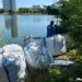 У Києві триває очищення на озері Кирилівське після атак рф – забруднення зменшили у десятки разів