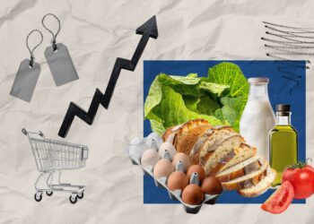 Супермаркети змінили ціни: скільки коштують базові продукти 5 серпня