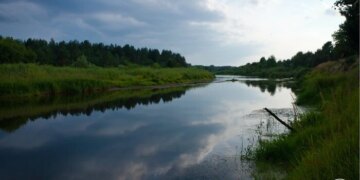У Чорнобильській зоні виявлено рідкісні види риб, занесені до Червоної книги