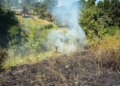 У Києві та області оголошено надзвичайну пожежну небезпеку