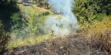 У Києві та області оголошено надзвичайну пожежну небезпеку