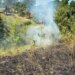 У Києві та області оголошено надзвичайну пожежну небезпеку