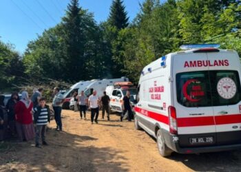 На чорноморському узбережжі Туреччини знайшли відпрацьований ракетний двигун