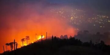 У Ялті вже п’ятий день не можуть загасити лісову пожежу