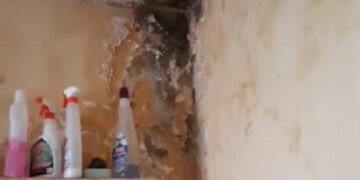 Студентка показала гуртожиток вишу, який очолив рейтинг за кількістю поданих заяв: моторошні кадри