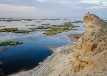 Життя біля моря може бути не таким корисним для здоров’я, як вважали раніше