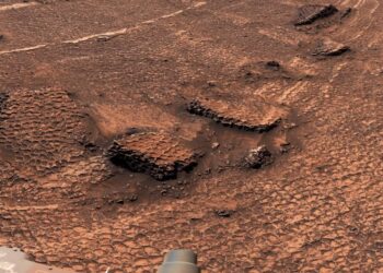 Марсохід NASA виявив дивні «соти» на поверхні Марса: вчені шукають пояснення
