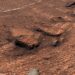 Марсохід NASA виявив дивні «соти» на поверхні Марса: вчені шукають пояснення