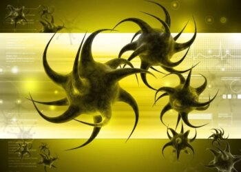Вчені: дефіцит клітковини змушує кишкові бактерії атакувати слизову оболонку