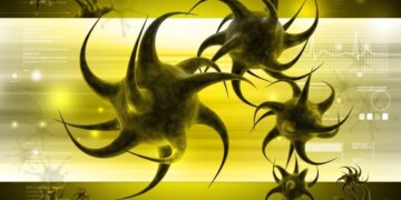 Вчені: дефіцит клітковини змушує кишкові бактерії атакувати слизову оболонку