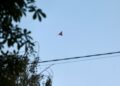 У Херсоні дрон ударив по маршрутці з людьми, є загиблі