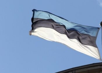 Естонія закликала посилити тиск на рф після інциденту з дроном у Румунії