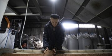 Плати 10 тисяч доларів або чекай: новий скандал із поборами в українських портах