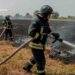 Вогонь знищив поле і забрав життя: на Київщині спалахнула масштабна пожежа, – ФОТО