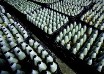 У Литві з’явиться завод боєприпасів для потреб України та НАТО