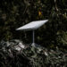 SpaceX обмежить роумінг Starlink для польських акаунтів, які використовують в Україні