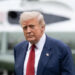 США розіслали союзникам по НАТО анкету про лояльність до Трампа – Bloomberg