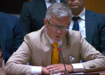 Мельник розкритикував Радбез ООН: “досі не зупинили російський геноцид українців”