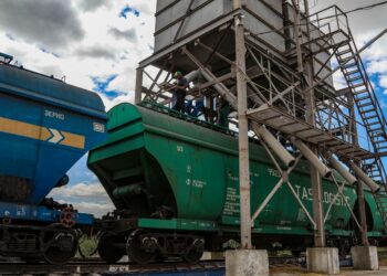 Аграрії б’ють на сполох: як нові вантажні тарифи УЗ вплинуть на експорт зерна