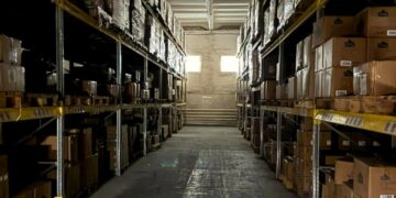 Понад 10 мільйонів не дійшли до бюджету: підприємство Київщини відшкодувало збитки під час слідства