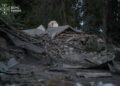 Тривожні зміни для Києва: столицю можуть офіційно назвати прифронтовою