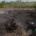 В Україні за тиждень через ворожі атаки вигоріли 84 гектари лісу