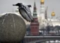 У Кремлі не сказали, чи припинить Росія атаки на енергетику України в разі зупинки ударів по НПЗ