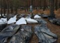 На Харківщині після деокупації виявили 981 тіло – Лубінець