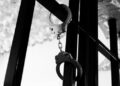 Демонстрація ультраправих у Гаазі переросла в заворушення, затримали понад 20 чоловік