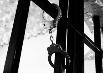 Демонстрація ультраправих у Гаазі переросла в заворушення, затримали понад 20 чоловік