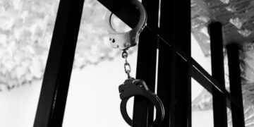 Демонстрація ультраправих у Гаазі переросла в заворушення, затримали понад 20 чоловік