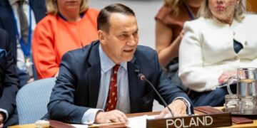 Сікорський про російський вертоліт: Якщо Москва скаже «вибачте», не робитимемо з цього великої справи