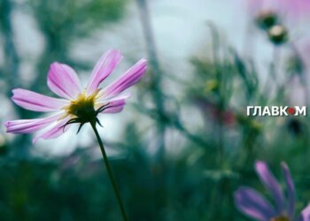 В Україні до 30°, місцями дощі, грози: погода на 12 вересня 2026 року
