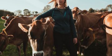 В Україні запроваджують єдиний облік документів про благополуччя тварин