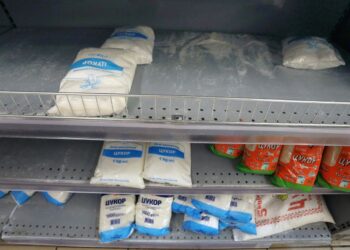 Посіви буряку в Україні впали до історичного мінімуму: чи чекати дефіциту цукру