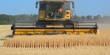 USDA переглянуло прогноз щодо українського зерна: головні цифри