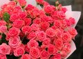 Де замовити шикарний букет троянд з доставкою по Києву