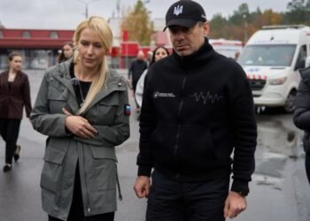 Україна та РФ узгодили час припинення вогню в Олешках, – Лубінець