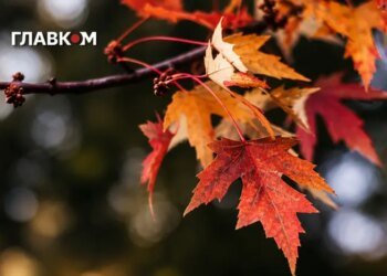В Україні тепло, на заході значні дощі: погода на 22 жовтня 2026 року