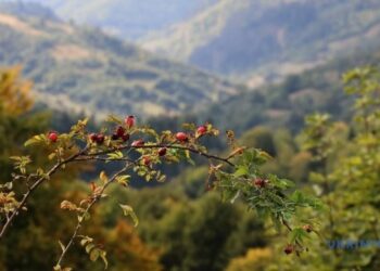 В Україні в середу без опадів, удень до +23°