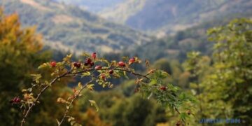 В Україні в середу без опадів, удень до +23°
