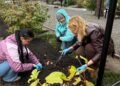 Квіти, що нагадуватимуть про героїв: на Київщині стартувала особлива ініціатива