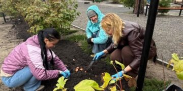 Квіти, що нагадуватимуть про героїв: на Київщині стартувала особлива ініціатива