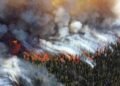 Кліматична криза прискорюється: сім із 16 показників Землі досягли рекордних значень